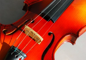 violin brisbane